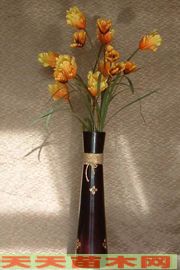 装饰花卉图片/装饰花卉照片欣赏