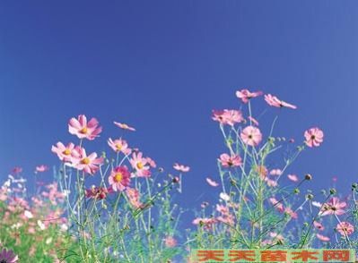 ���ܷ羰ͼƬ/���ܷ羰��Ƭ����