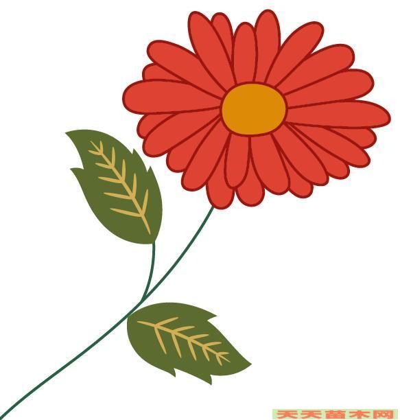 花卉图案素材/花卉设计图案照片欣赏