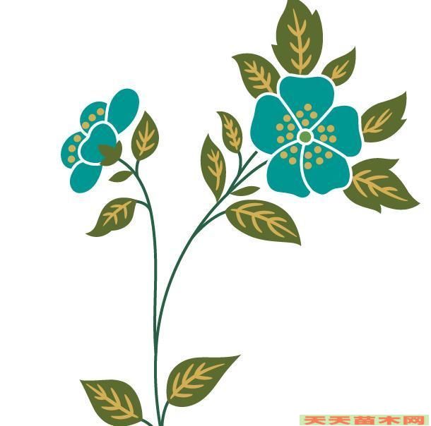 花卉图案素材/花卉设计图案照片欣赏